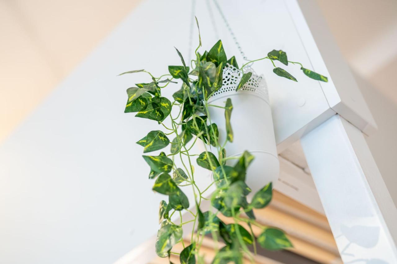 Cozy Modern Nest In The Heart Of Vienna With Netflix Apartment Екстериор снимка